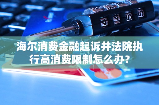 融起诉并法院执行高消费限制怎么办？爱游戏app最新登录入口海尔消费金